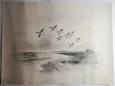 Herbert W Hellings Drawing “Wildfowl in Flight” British Wildlife Art