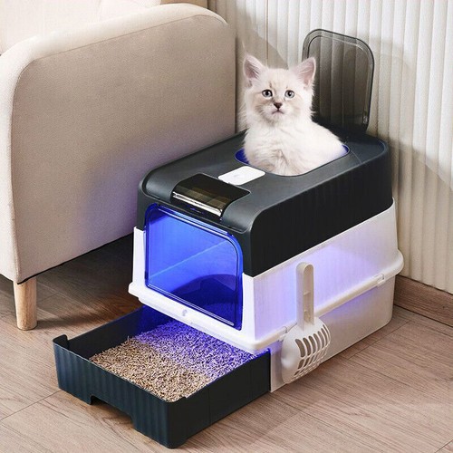 Large hooded cat - hooded,