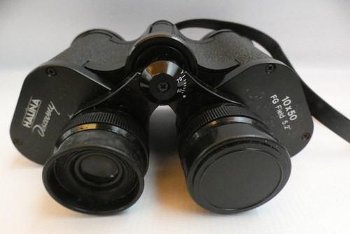 Pair vintage halina - of,