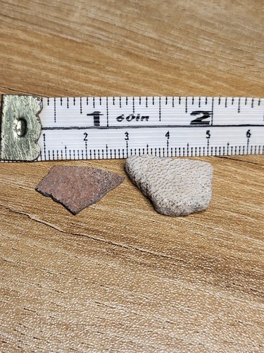 Raptor saltasaurus egg - &,