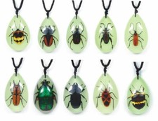 Real Insect Glow in Dark Tear