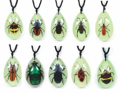 Real insect glow dark - glow, tear