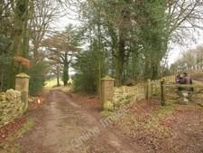 Photo 6x4 Gateposts, Ebworth Cranham/SO8912 Looking past the gateposts o c2010