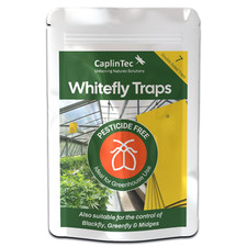 White Fly Traps Pack 7