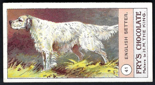 Fry fowls pigeons dogs - fry, &