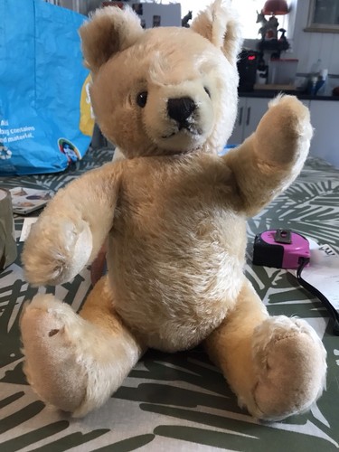 Steiff mask bear has - steiff, bear..has