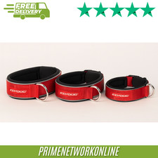 EzyDog Neo Classic Collar -