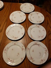 Set Of 7 Haviland Limoges Pink