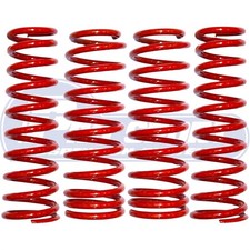 PRO SPORT LOWERING SPRINGS