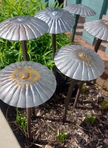 Solid steel garden - steel,