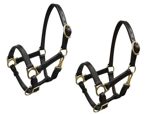 Mini horse size adjustable - mini,