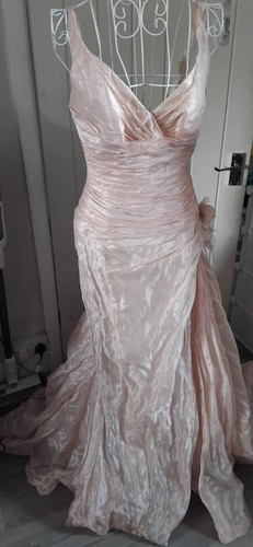 Pronovias champagne line - pronovias,