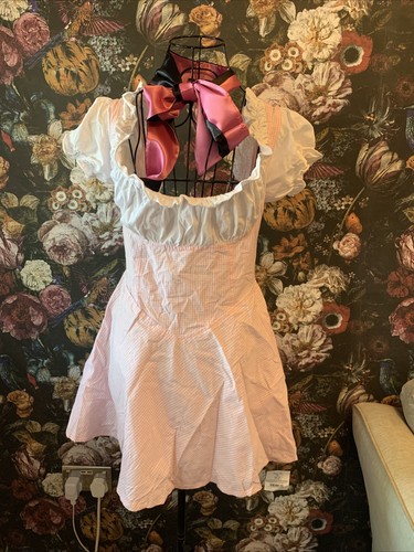Adult fancy dress pink - fancy,