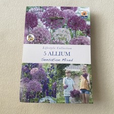 Giant Allium Purple Sensation Bulbs 5-Pack Spring Flowering Bulbs for Planting