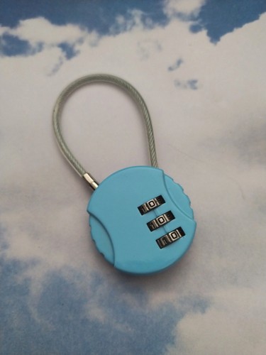 Shackle wire digit security - shackle,