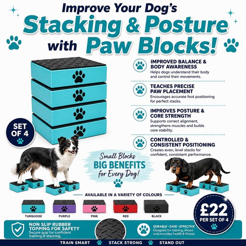 Dog training stacking blocks - dog,