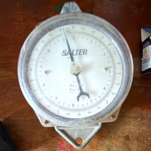 Salter 235 analogue hanging - salter,
