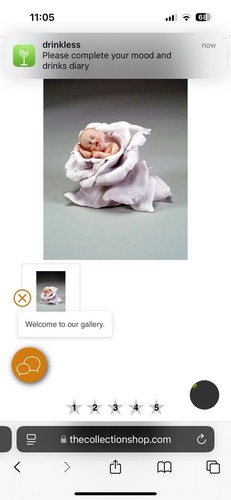 Giuseppe armani little rose - giuseppe,