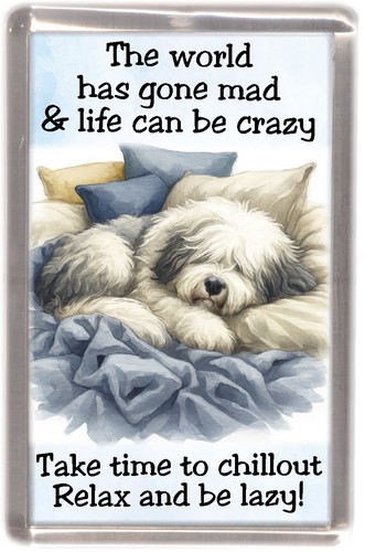 Old english sheepdog - old,