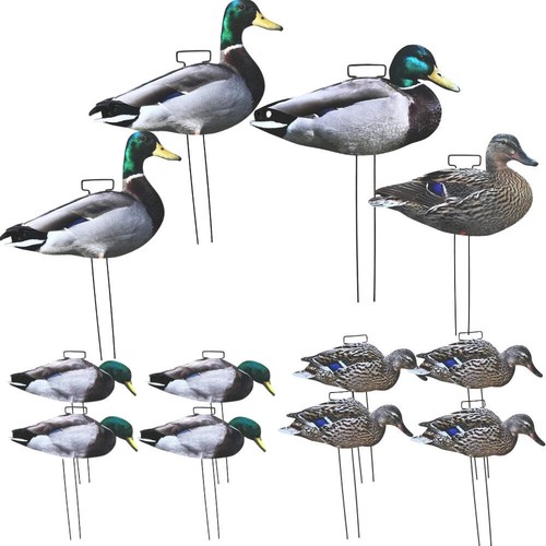 Silhouette mallard duck - mallard, decoy