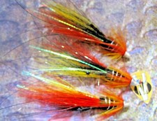 V Fly 1/2 & 1 Inch Conehead