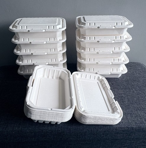 250 compostable 9x6 food - food, boxes