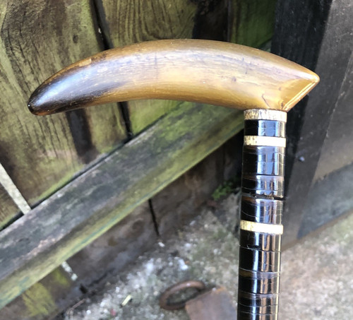 Walking stick antique scottish - walking,