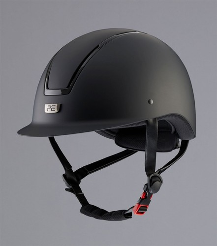 Premier equine endeavour - equine, horse