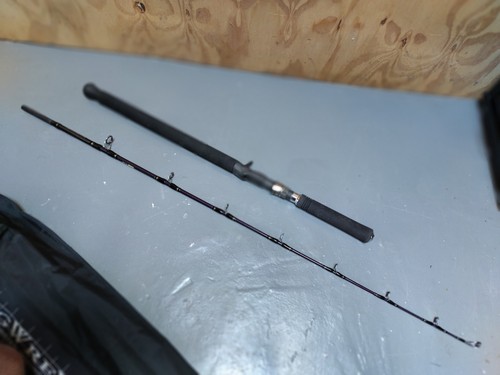 Shimano jigwrex b554 - b554, 5'5"