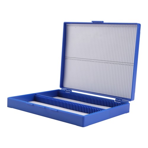Royal plastic rectangle - royal,
