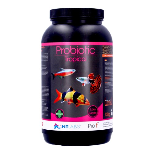 Labs pro probiotic - nt,