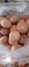 500g Whole Betel Nut (Sopari)