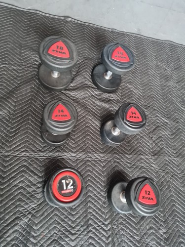 Pairs dumbells 12kg 14kg - dumbells,