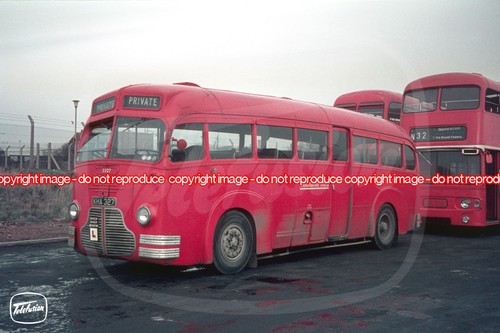 Bus photo midland red - -,