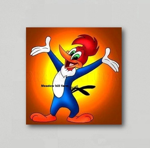 Sticker woody woodpecker retro - sticker,