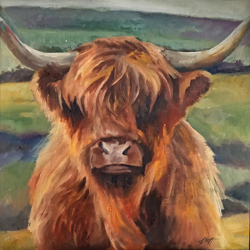 Highland cow original fine art - highland,
