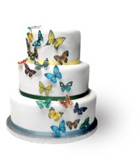 Cake Toppers 35 Bright