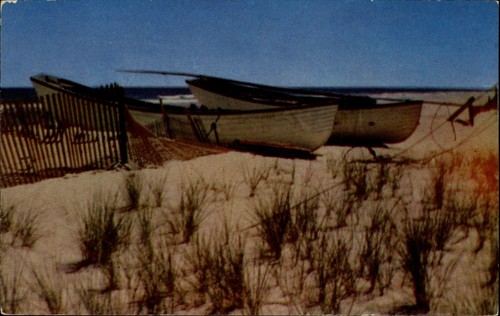Long beach island fishing - long,