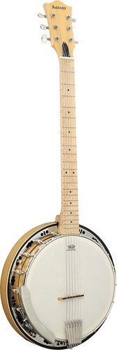 Ashbury string guitar - ashbury,