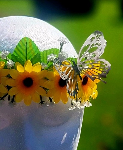 Adjustable yellow daisy flower - daisy,