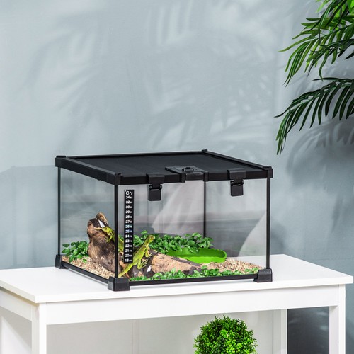 Reptile terrarium breeding - reptile,