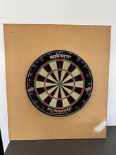 Professional Darts Board