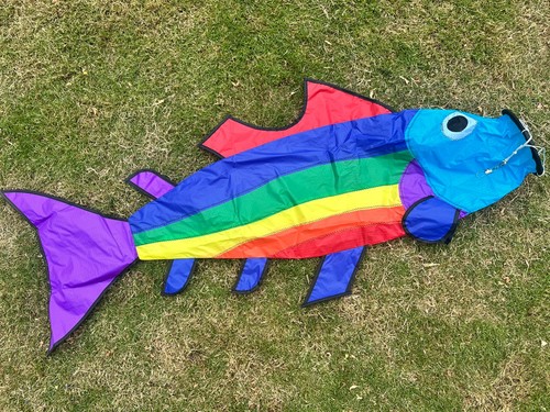 Rainbow fish windsock - rainbow,