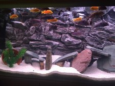 Aquarium Backgorund JUWEL RIO 240 3D rock root background 117x45cm in 2 sections