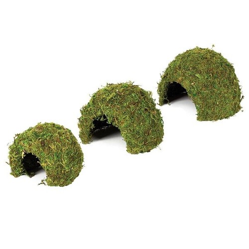 Komodo natural moss - komodo, cave