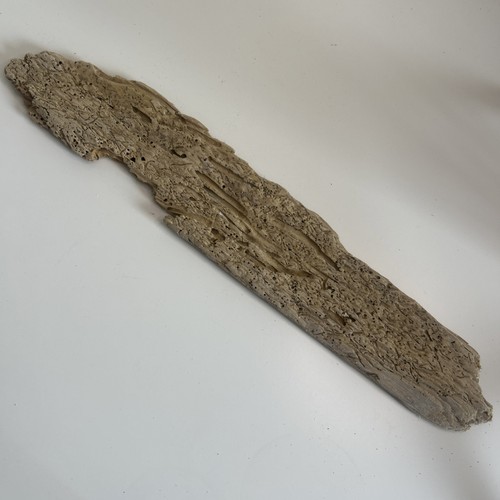 Very unique pitted driftwood - very,