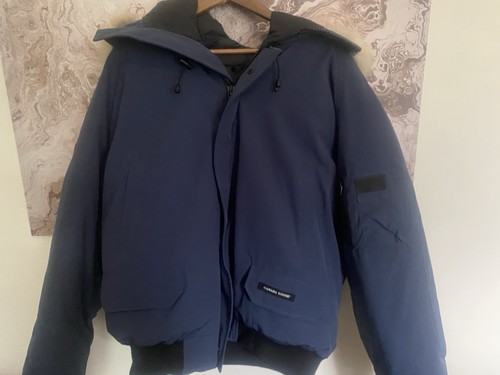 Canada goose chilliwack - goose,