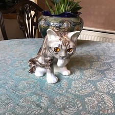 WINSTANLEY TABBY CAT SIZE 3 -