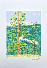 DAVID HOCKNEY - The Yosemite