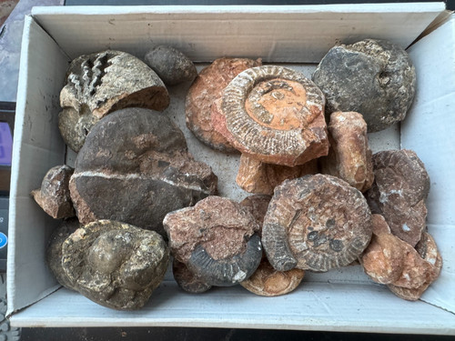 Wholesale 1kg rough small - 1kg,